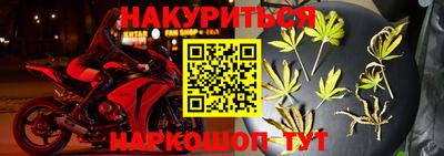 ГАЛЛЮЦИНОГЕННЫЕ ГРИБЫ Кингисепп