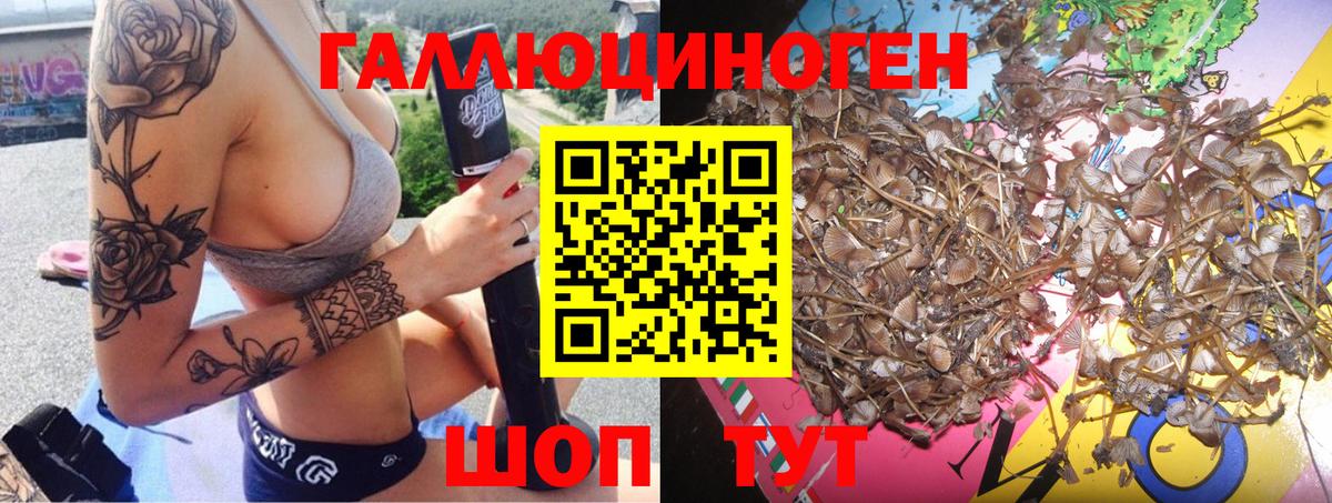 Галлюциногенные грибы Magic Shrooms  Вход с VPN  Жуковский 